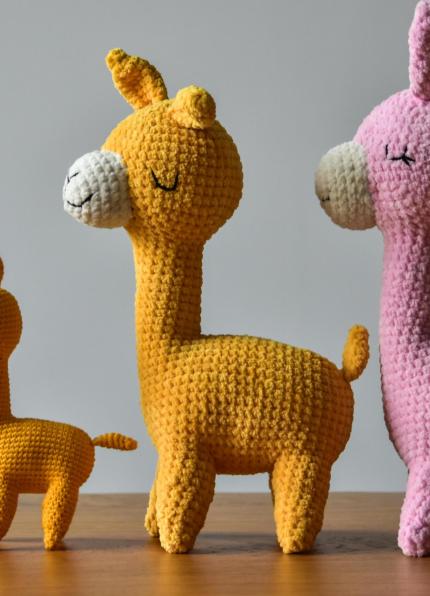 pexels-ira-2300811-6694284